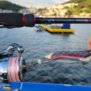 능포주차장 이미지