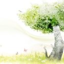 평생교육경영론 이미지