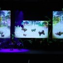 그림자극 랑랑별 때때롱 이미지