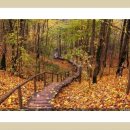 전동공영주차장 이미지