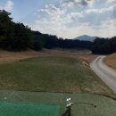 누들앤프랜즈