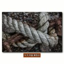 매듭의 메아리(Echoes of Knots) 이미지