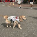 으랏차차 야채곱창 | [일상]8월