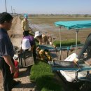 청하면사무소 이미지