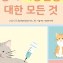 상암동물병원 이미지
