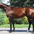 태영목장2 이미지