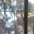 나리빛펜션 이미지