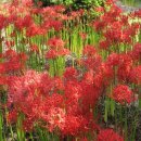 형제식품 이미지