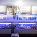 미래대게식당 이미지