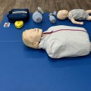 [Rn] 간호사보수교육 KBLS provider 이수 후기(at 서울아산병원)
