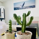 큰빛농장 이미지