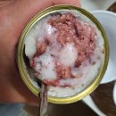 스낵마켓 강아지캔 마티 모노프로틴 맛있게 먹여봤어요