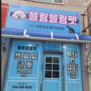 블링펫샾 이미지