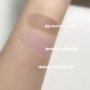 여름쿨톤이 선택한 아임미미 멀티스틱 쉐딩 블러셔 하이라이터 3종 솔직 후기