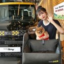 서울자동차㈜ 이미지