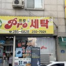 금광신프로세탁소 | 새 옷 산 줄~ 청주 세탁소 캐시미어 코트 드라이는 용정동 프로 세탁소에서