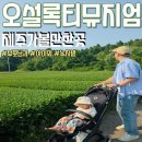5312 | 제주 가볼만한곳 오설록 이니스프리 카페 메뉴 아이와 유모차로 다녀온 후기