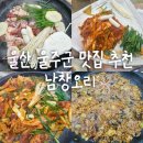 남창생오리