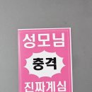 성일택시(자) | 260125 82MAJOR 비범 콘서트 후기와 입덕계기