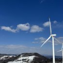 유천목장 | 맛집부터 가볼만한 곳까지 당일치기 코스추천(황태회관, 유천막국수, 월정사, 안반데기, 월이닭강정 등)