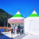 신도안동물병원 | 계룡 군문화축제 어린이 직업체험 키자니아 GO 병영체험관 VR체험존 후기 가을축제