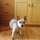 부천삼정초등학교 이미지