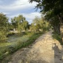 참새둥지야영장 이미지