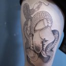 타투 복싱 이미지