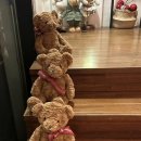 테이스티 가든 이미지