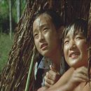 문화DVD