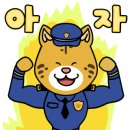 진도카멜리아힐즈오토캠핑장 이미지