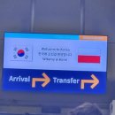워커힐환승호텔 T2 | KLM 비행기 지연 환승 실패 후기 | 대체 항공편 예약, 호텔 숙박