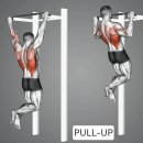 pull-up과 chin-up 이미지