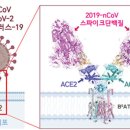 엠데일 이미지