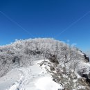 여주-1108 이미지