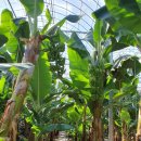 회천농장 이미지