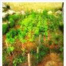 햇귀풍경 이미지