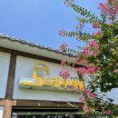 노란우체통 이미지