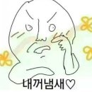 교토밥상