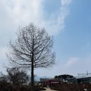 전남 곡성 섬진강 기차마을, 광주 근교 아이랑 가볼 만한 곳 추천! (ft.치치뿌뿌놀이터,VR체험,놀이동산)
