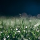 자동기상관측시스템 이미지