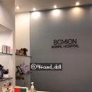 봄이온동물병원 이미지