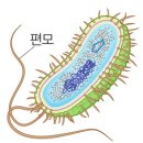 생명과학연구회 이미지