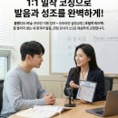 와이즈앤코