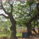 생태다리 이미지