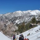 Mt.Timber via Ice House Canyon 2024.4.6 이미지