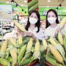 노란옥수수 이미지