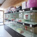 나비랑 바둑이 이미지