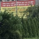 빈센트반커피 이미지