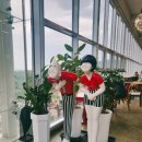 썬옥(SUNOK) 이미지